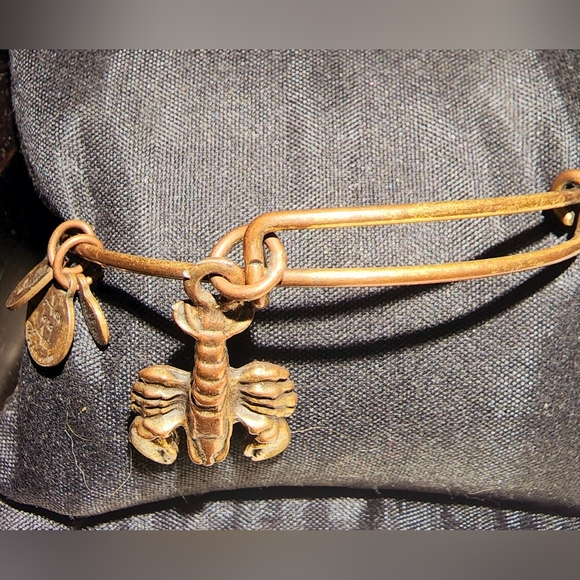 Alex and Ani copper tone scorpion adjustable wire bangle - Picture 6 of 6